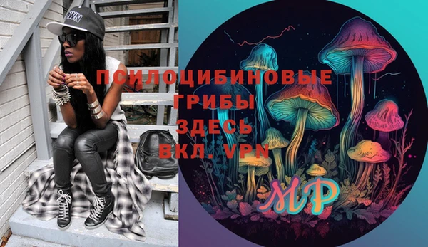 Альфа ПВП Алексин