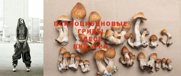 гидропоника Абинск